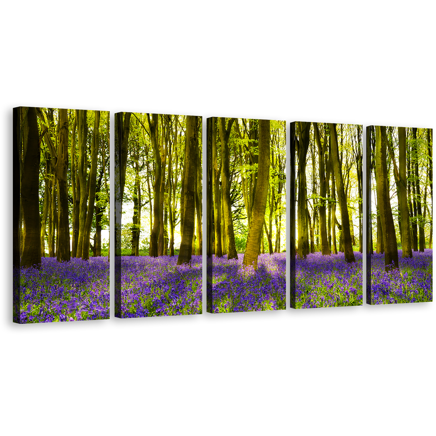 Oxfordshire Forest Canvas Wall Art, Sunbeams Through Purple Green Forest 5 Piece Canvas Print, Blooming Bluebells in Deep Woodlands Multi Canvas