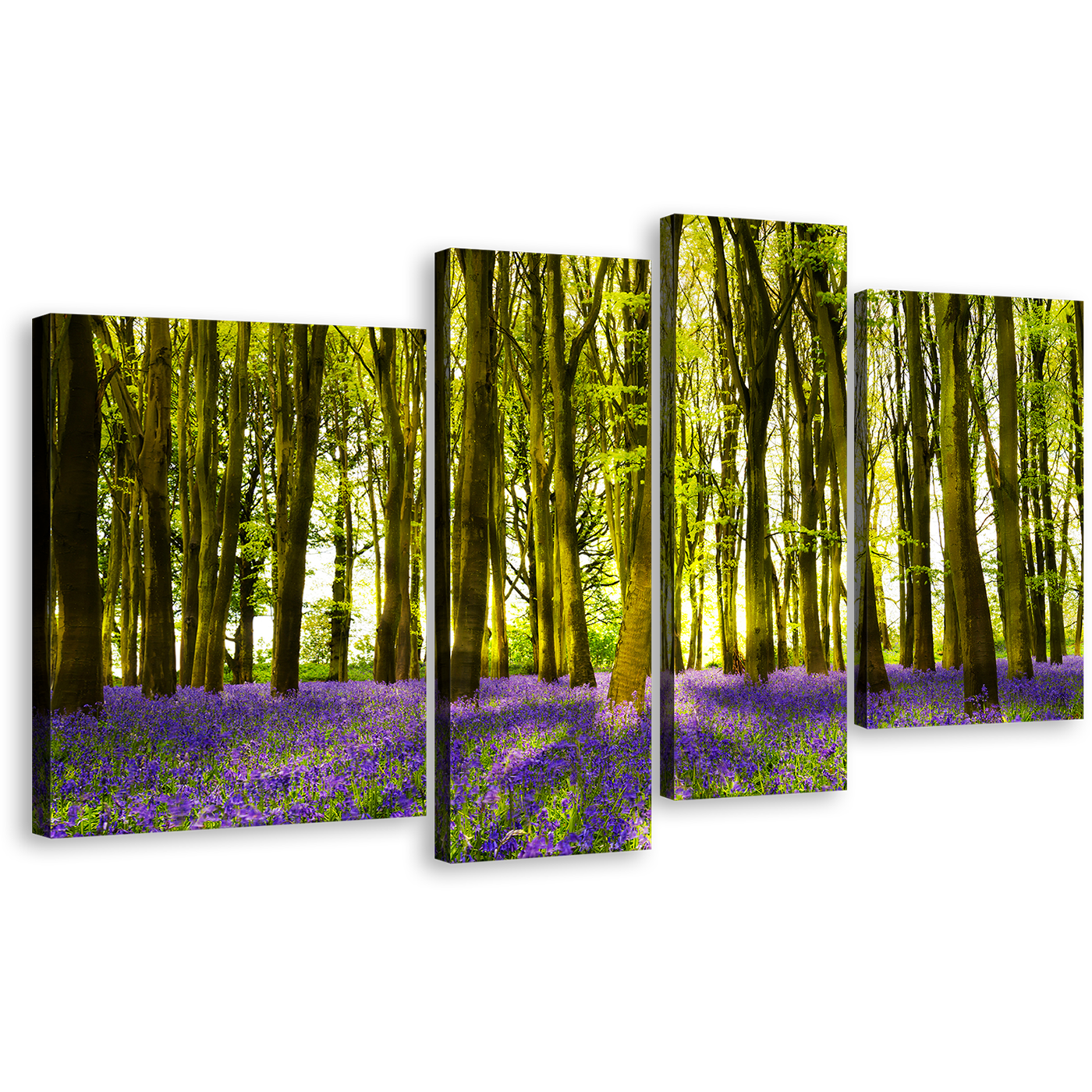 Oxfordshire Forest Canvas Wall Art, Sunbeams Through Purple Green Forest Canvas Set, Blooming Bluebells in Deep Woodlands 4 Piece Canvas Print