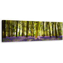 Load image into Gallery viewer, Oxfordshire Forest Canvas Wall Art, Sunbeams Through Purple Green Forest Panoramic Canvas, Blooming Bluebells in Deep Woodlands Canvas Print
