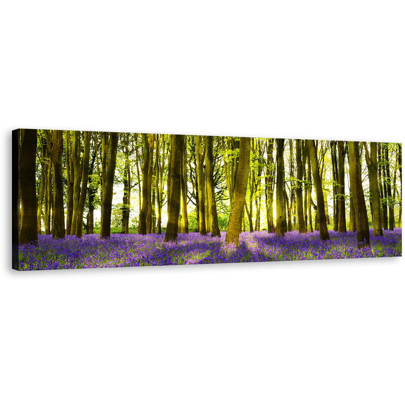 Oxfordshire Forest Canvas Wall Art, Sunbeams Through Purple Green Forest Panoramic Canvas, Blooming Bluebells in Deep Woodlands Canvas Print