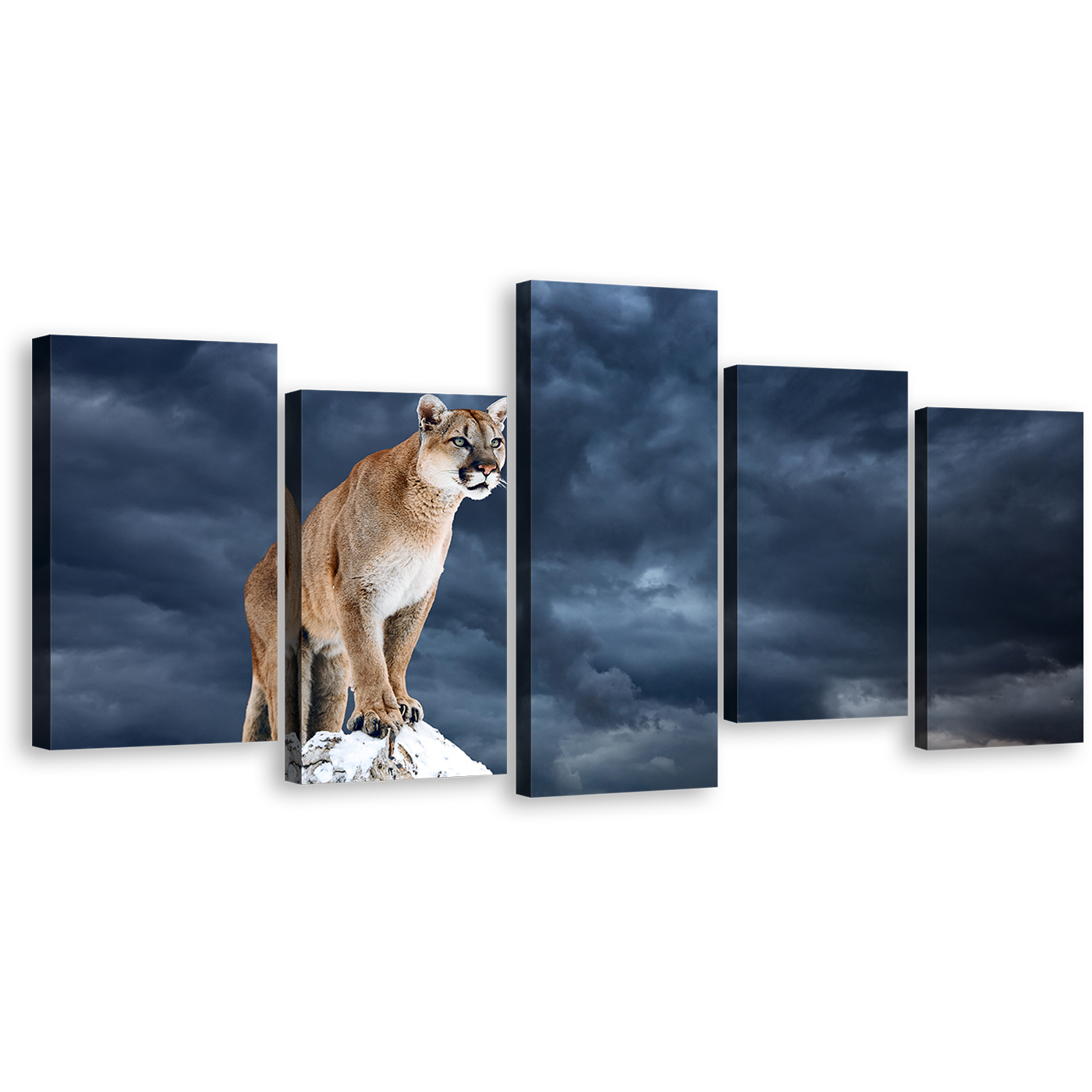 Panther Animal Canvas Wall Art, White Mountain Lion 5 Piece Multiple Canvas, Brown Wild Cat Canvas Print