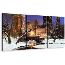 Load image into Gallery viewer, Park River Canvas Print, New York City White Snow Forest Trees 3 Piece Canvas Set, Blue Sky Central Park Landscape Wall Art
