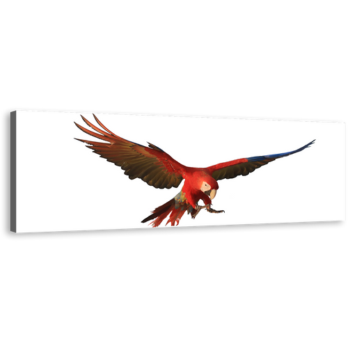 Parrot Flying Canvas Print, Red Macaw Parrot 1 Piece Canvas Wall Art, White Background Bird Flying Wide Canvas