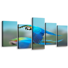 Load image into Gallery viewer, Parrot Flying Canvas Wall Art, Colorful Bird Flying 5 Piece Multiple Canvas, Macaw Bird Canvas Print
