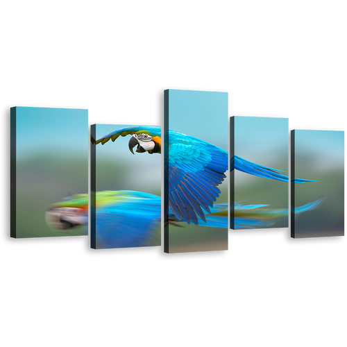 Parrot Flying Canvas Wall Art, Colorful Bird Flying 5 Piece Multiple Canvas, Macaw Bird Canvas Print