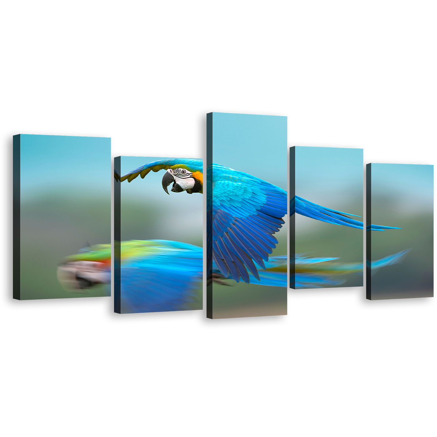 Parrot Flying Canvas Wall Art, Colorful Bird Flying 5 Piece Multiple Canvas, Macaw Bird Canvas Print