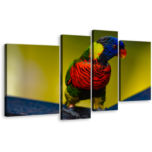 Parrot Lorikeet Canvas Print, Colorful Lorikeet 4 Piece Canvas Wall Art, Parrot Sitting Multi Canvas