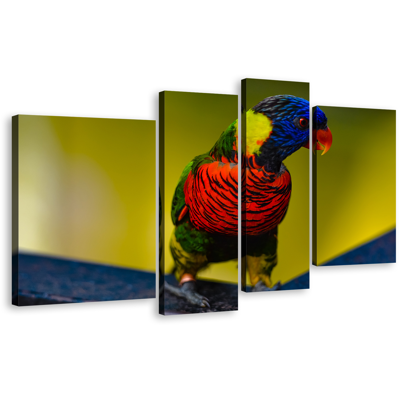 Parrot Lorikeet Canvas Print, Colorful Lorikeet 4 Piece Canvas Wall Art, Parrot Sitting Multi Canvas