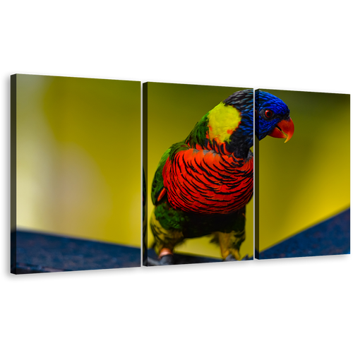 Parrot Portrait Canvas Wall Art, Parrot Sitting 3 Piece Canvas Set, Colorful Parrot Triptych Canvas Print