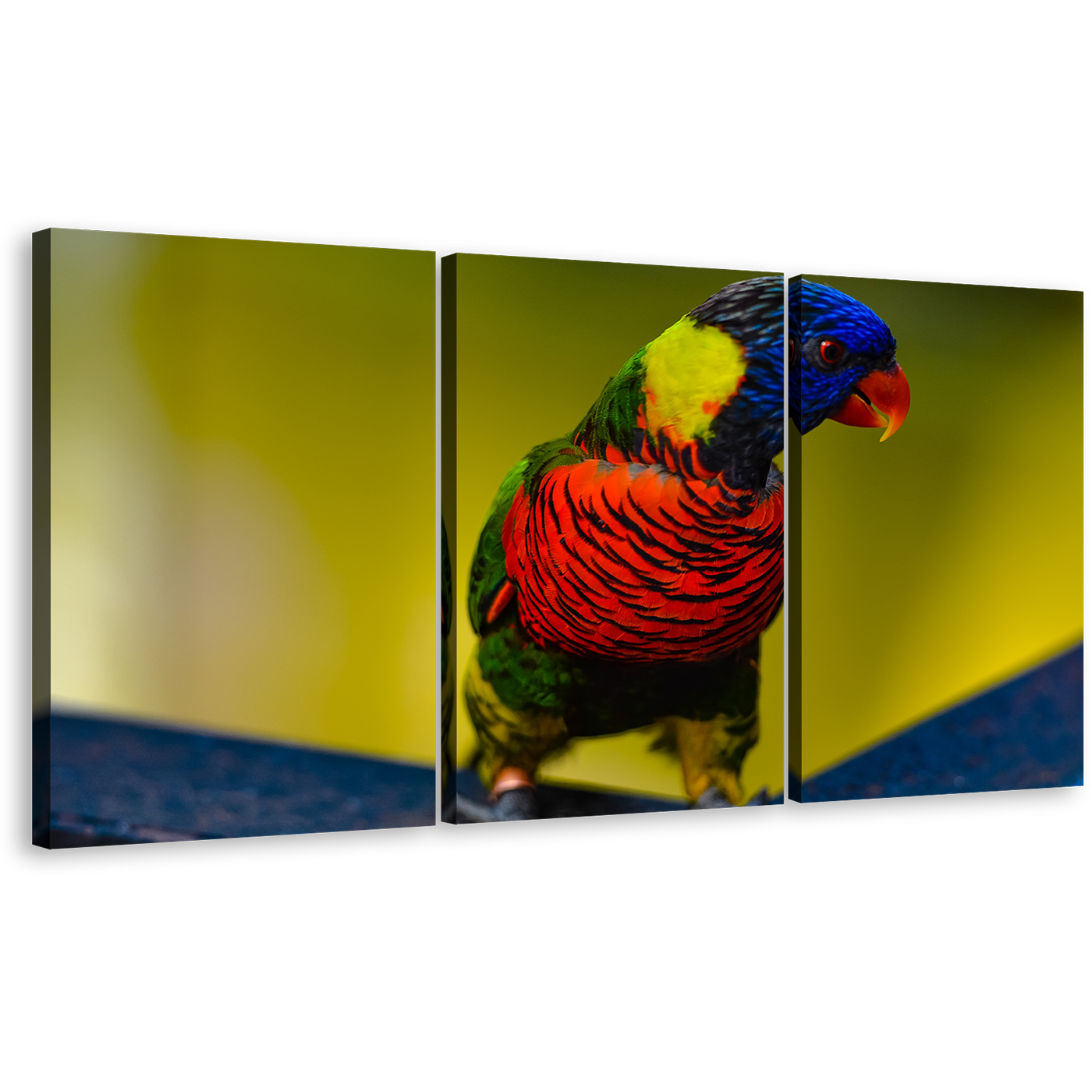 Parrot Portrait Canvas Wall Art, Parrot Sitting 3 Piece Canvas Set, Colorful Parrot Triptych Canvas Print