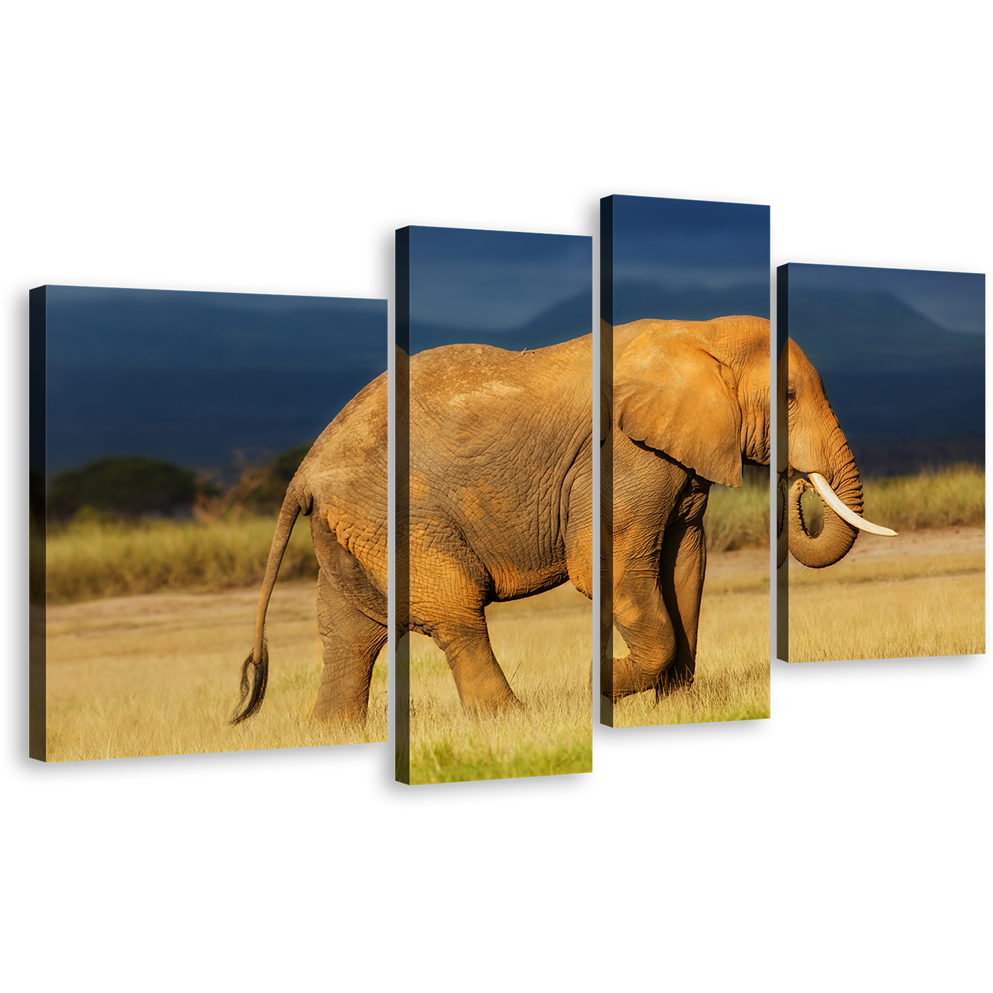 Peaceful Elephant Canvas Wall Art, Grey Orange Elephant Profile Canvas Print, Elephant Scenery 4 Piece Canvas