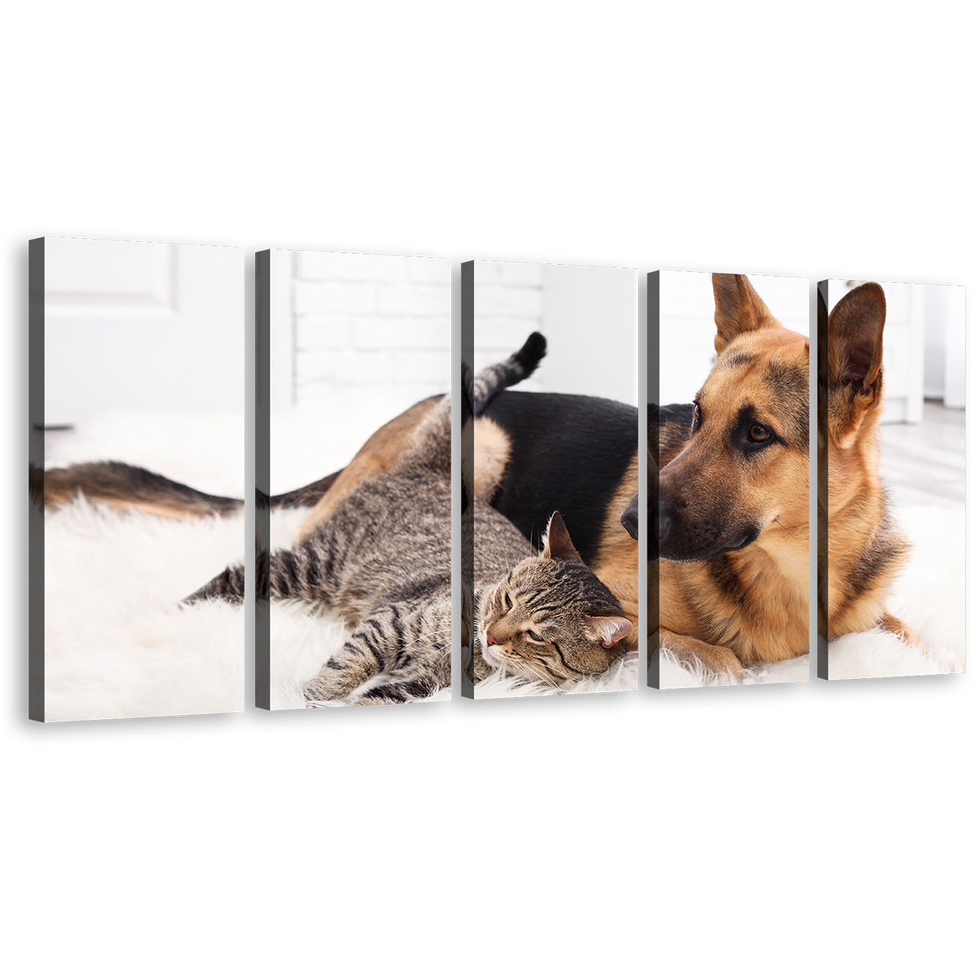 Pets Portrait Canvas Print, Brown Black Dog and Cat 5 Piece Canvas Wall Art, Cat and Dog Chilling Multiple Canvas