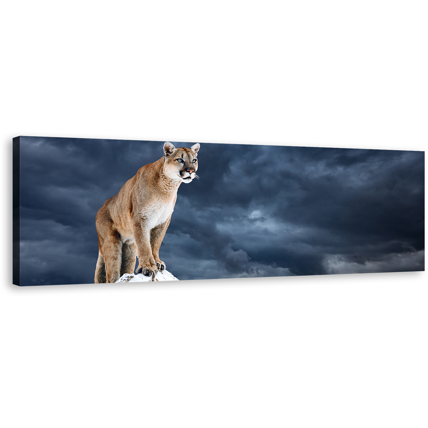 Puma Animal Canvas Wall Art, Brown Panther Animal Panoramic Canvas Print, Cougar White Mountain Sky Canvas Artwork