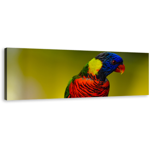 Rainbow Lorikeet Canvas Wall Art, Colorful Parrot 1 Piece Canvas Print, Parrot Portrait Canvas Artwork