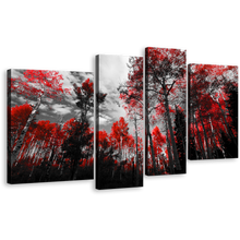 Load image into Gallery viewer, Red Scenery Canvas Wall Art, Black and White Sky Canvas Print, Colorado Forest Trees 4 Piece Canvas
