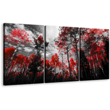 Load image into Gallery viewer, Red Trees Canvas Wall Art, Colorado Forest Scenery Triptych Canvas Print, Black and White Sky 3 Piece Canvas Set
