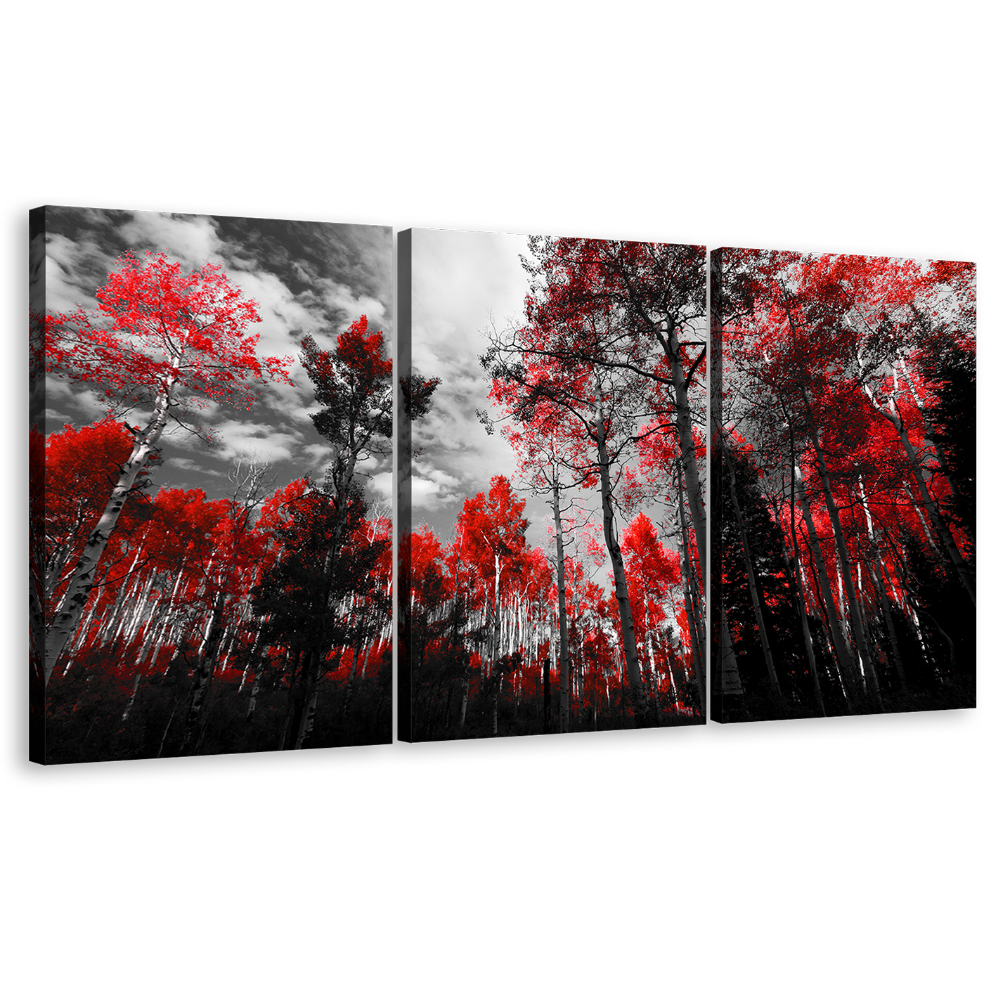 Red Trees Canvas Wall Art, Colorado Forest Scenery Triptych Canvas Print, Black and White Sky 3 Piece Canvas Set