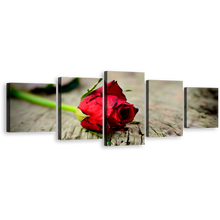 Load image into Gallery viewer, Romantic Flower Canvas Wall Art, Red Rose Floral Canvas Print, Rose Brown Blurred Background 5 Piece Multiple Canvas
