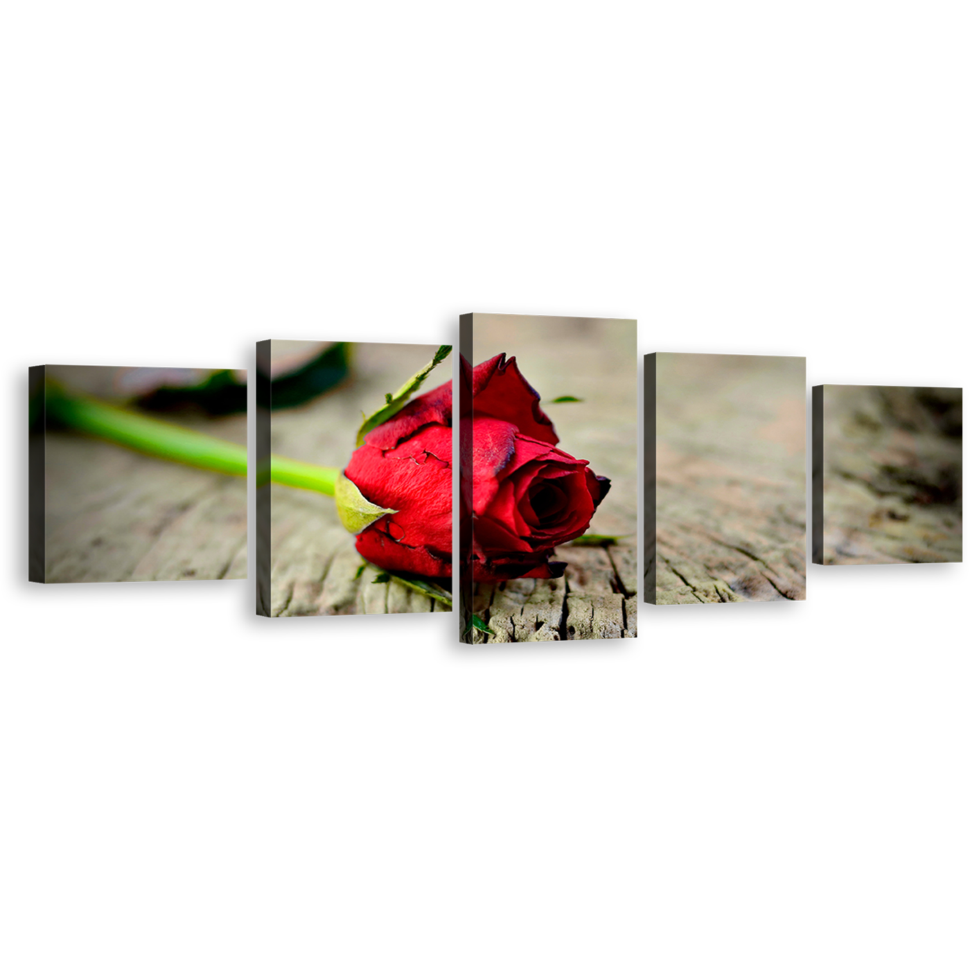 Romantic Flower Canvas Wall Art, Red Rose Floral Canvas Print, Rose Brown Blurred Background 5 Piece Multiple Canvas