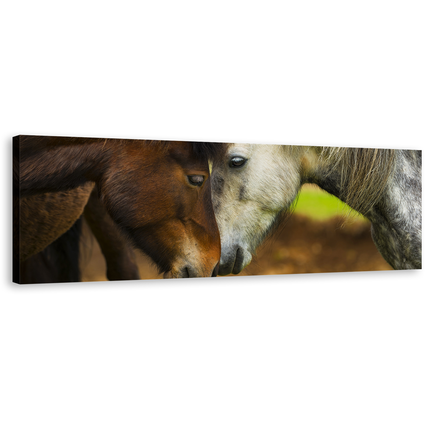 Romantic Horses Canvas Wall Art, Brown White Horses 1 Piece Canvas Print, Horse Couple Canvas Artwork