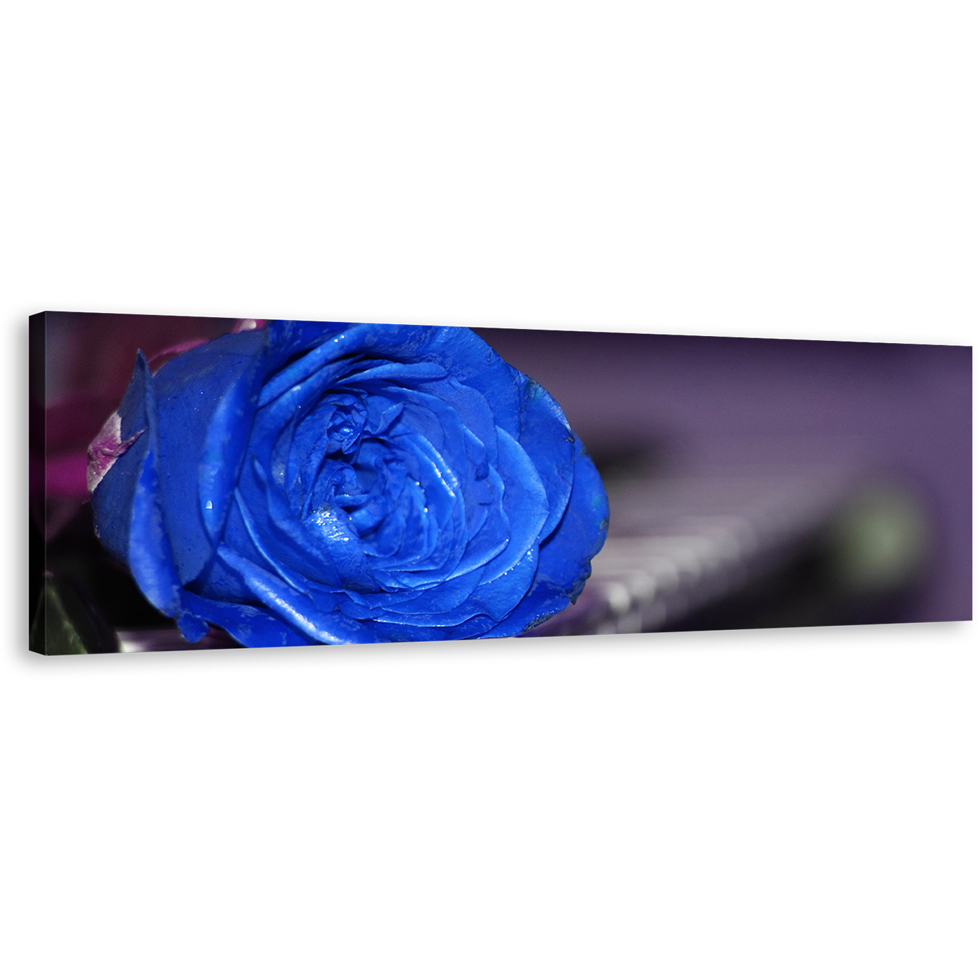 Romantic Piano Canvas Print, Blue Flower 1 Piece Canvas Wall Art, Rose and Piano Canvas Artwork