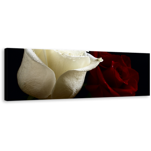 Romantic Roses Canvas Print, Red and White Roses with Close-Up Panoramic Canvas Wall Art