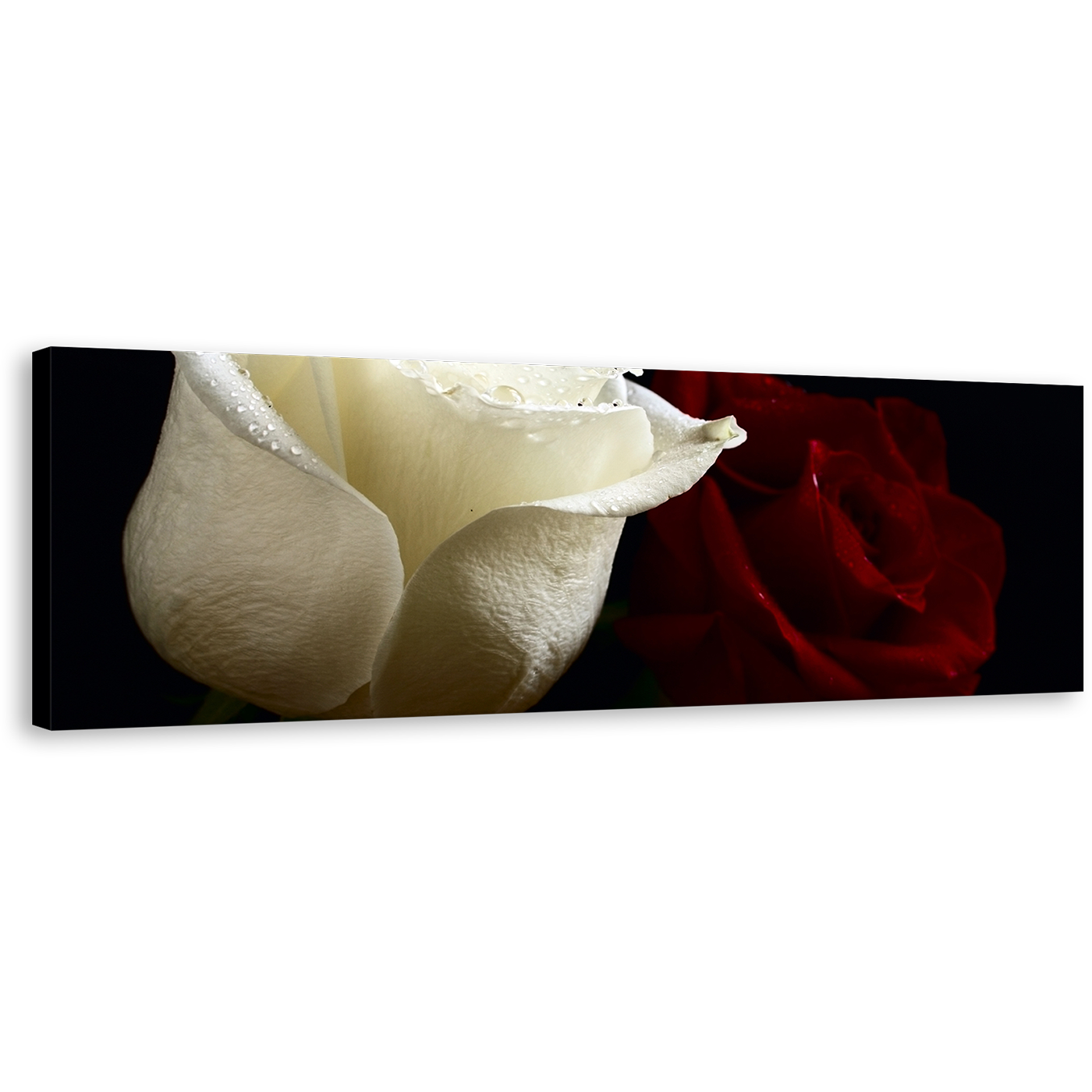 Romantic Roses Canvas Print, Red and White Roses with Close-Up Panoramic Canvas Wall Art