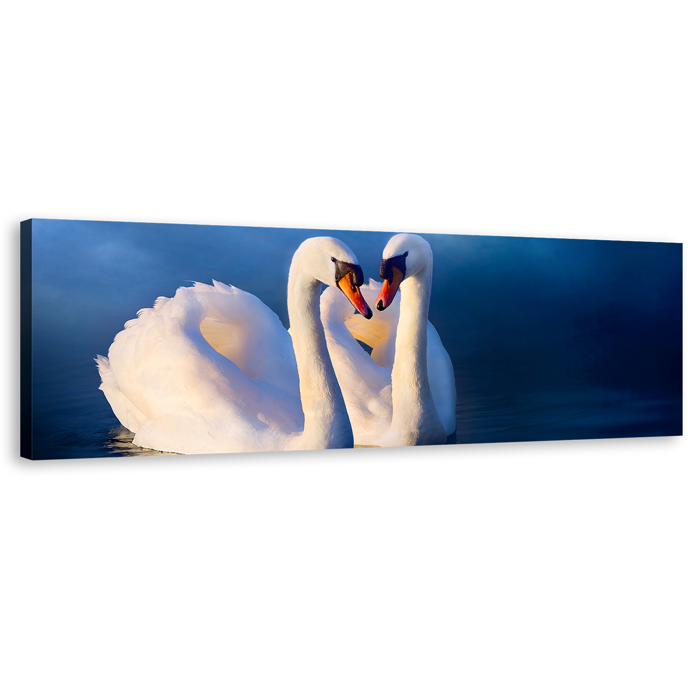 Romantic Swans Canvas Print, Beautiful White Swans in Love Canvas Wall Art, Blue Background Calm Water 1 Piece Canvas