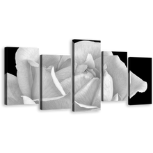 Load image into Gallery viewer, Rose Blossom Canvas Wall Art, Black and White Flowers 5 Piece Canvas Print, Still Life Floral Close Up Multi Canvas Artwork
