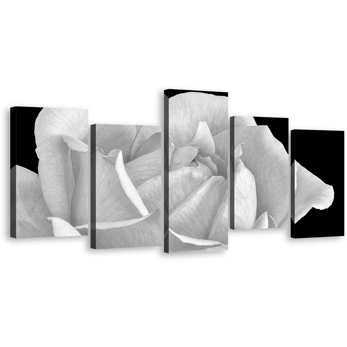 Rose Blossom Canvas Wall Art, Black and White Flowers 5 Piece Canvas Print, Still Life Floral Close Up Multi Canvas Artwork