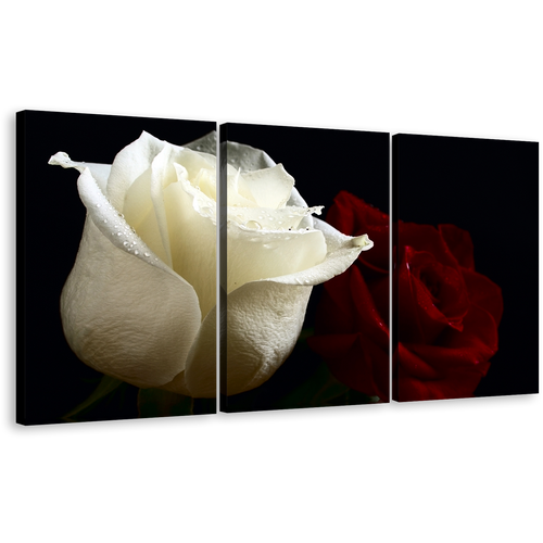 Rose Floral Canvas Print, Beautiful Flowers 3 Piece Canvas Set, Red and White Roses Wall Art