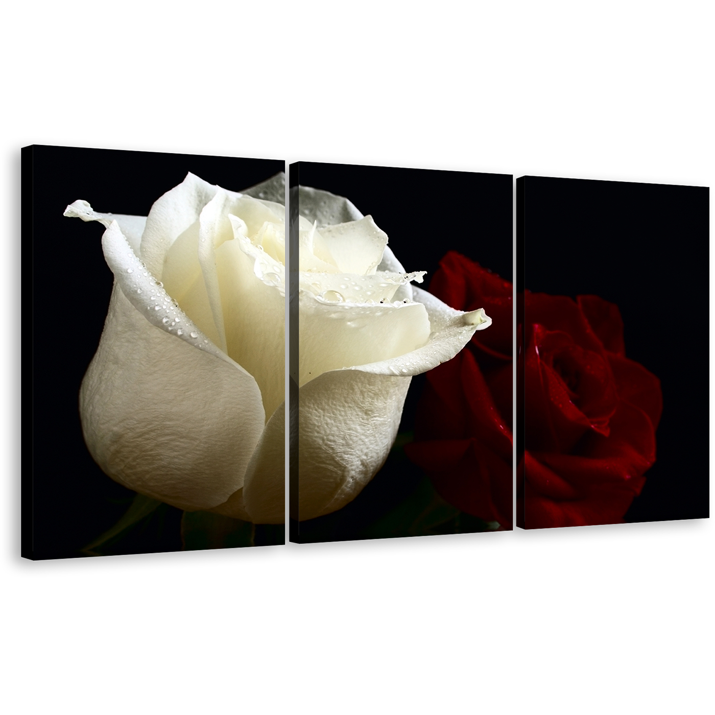 Rose Floral Canvas Print, Beautiful Flowers 3 Piece Canvas Set, Red and White Roses Wall Art