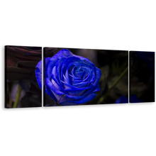 Load image into Gallery viewer, Rose Floral Canvas Wall Art, Isolated Rose Dark Background 3 Piece Multiple Canvas, Blue Flowers Digital Painting Canvas Print
