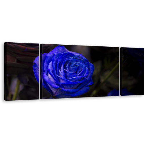 Rose Floral Canvas Wall Art, Isolated Rose Dark Background 3 Piece Multiple Canvas, Blue Flowers Digital Painting Canvas Print