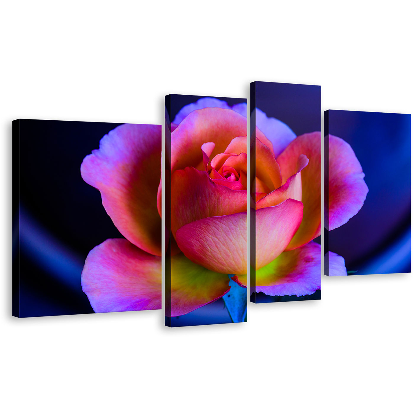 Rose Floral Canvas Wall Art, Pink Purple Rose 4 Piece Canvas Print, Blue Background Flower Multi Panel Canvas