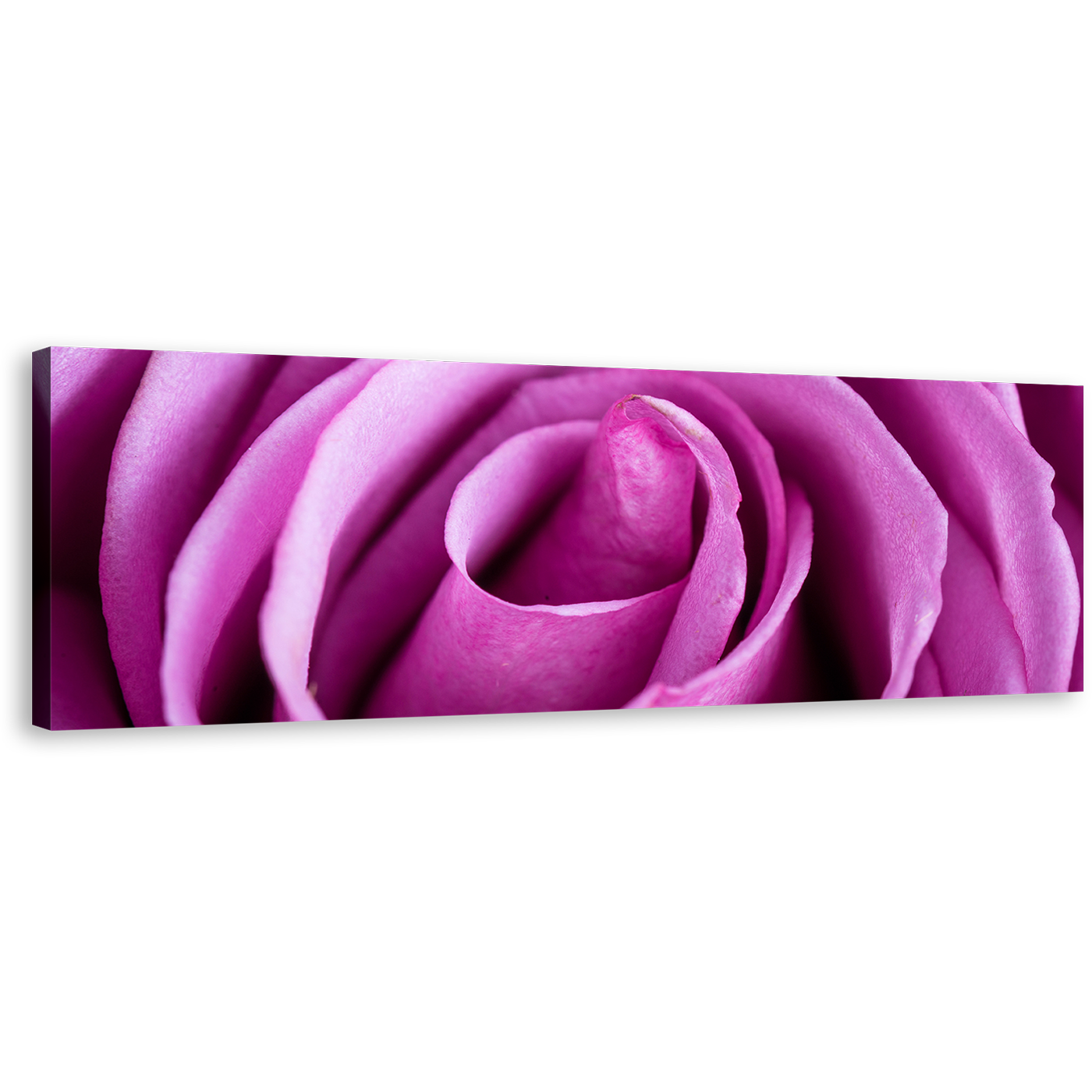 Rose Flower Canvas Print, Close Up Rose Canvas Wall Art, Purple Floral 1 Piece Canvas Artwork