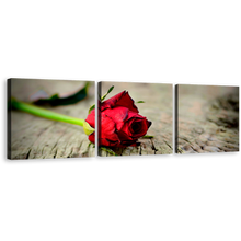 Load image into Gallery viewer, Rose Flower Canvas Wall Art, Rose Brown Blurred Background 3 Piece Canvas Set, Red Rose Romance Canvas Print
