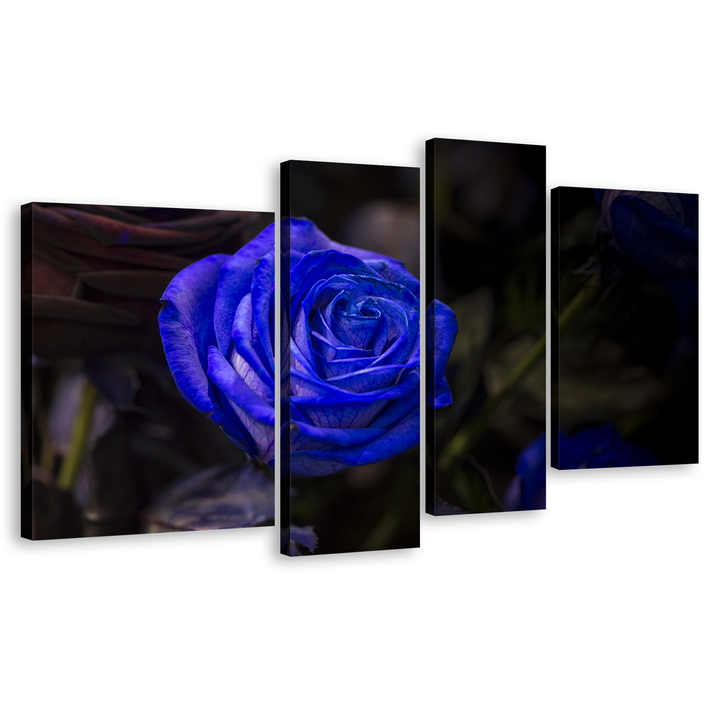 Rose Flower Canvas Wall Art. Isolated Blue Rose 4 Piece Canvas Set, Beautiful Floral Canvas Print