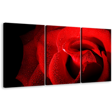 Load image into Gallery viewer, Rose Flowers Canvas Wall Art, Black Background With Raindrops 3 Piece Multi Canvas Artwork, Red Rose Close Up Triptych Canvas Print
