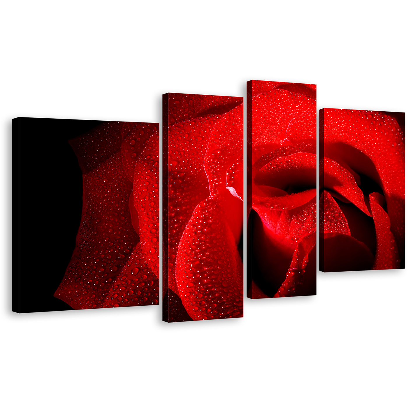 Rose Flowers Canvas Wall Art, Black Background With Raindrops 4 Piece Canvas, Red Rose Close Up Canvas Print