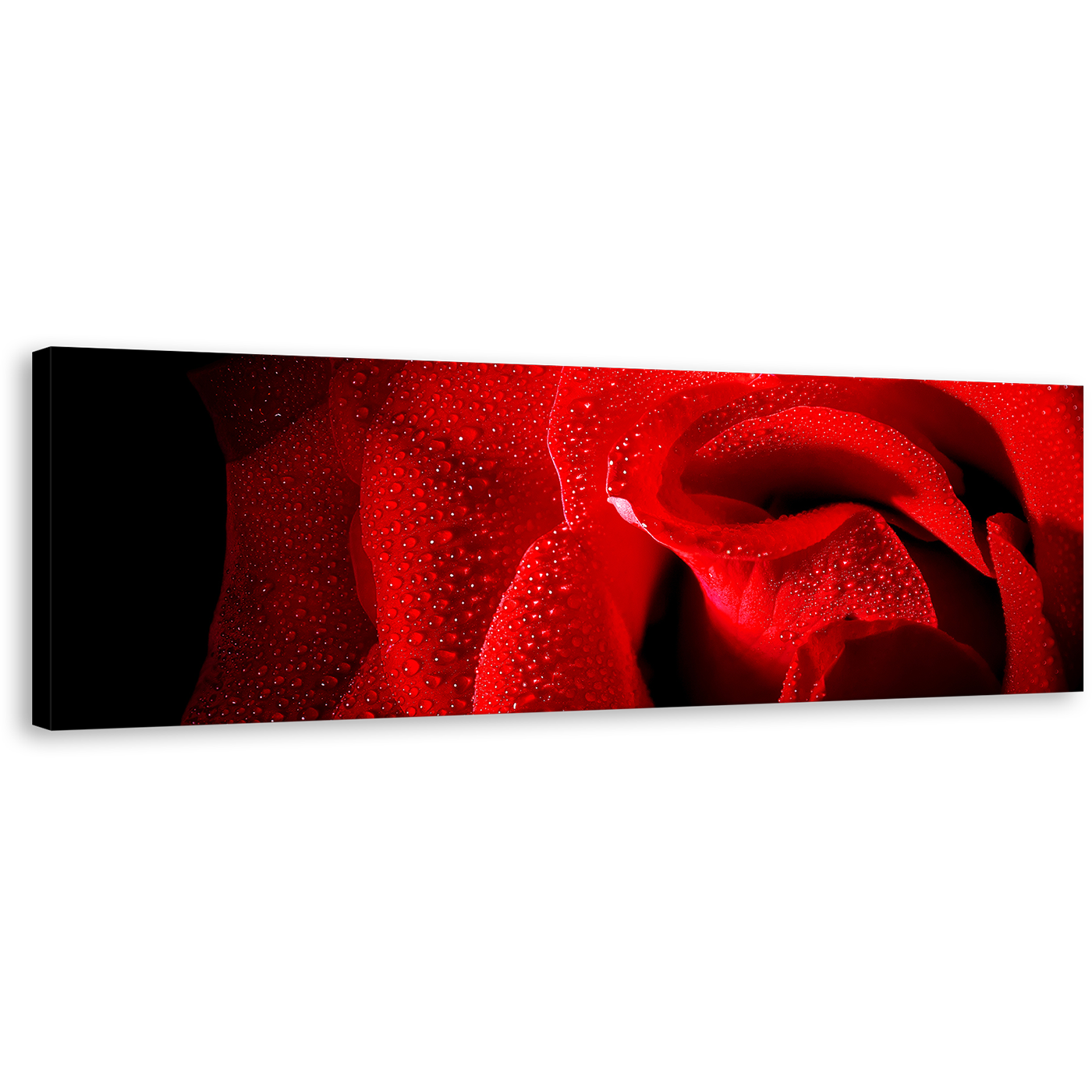 Rose Flowers Canvas Wall Art, Red Rose Close Up Panoramic Canvas Print, Black Background With Raindrops 1 Piece Canvas Artwork