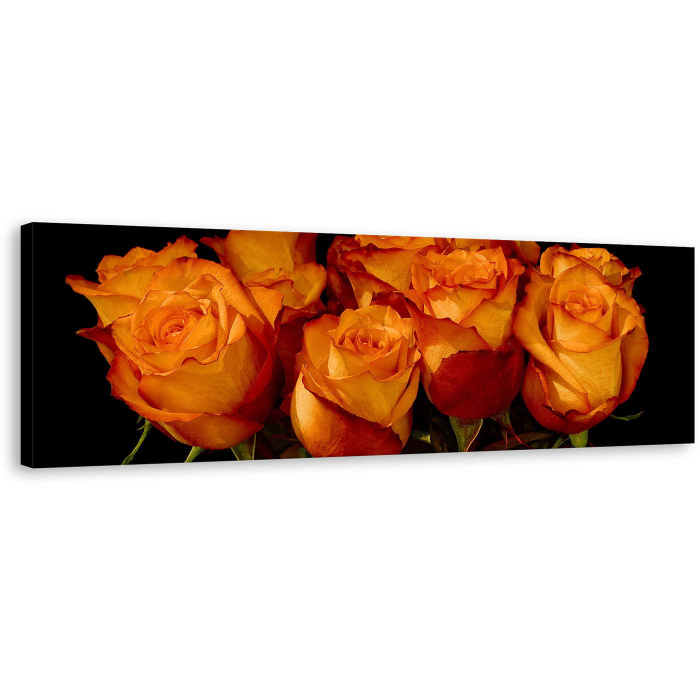 Rose Flowers Wall Art, Beautiful Orange Floral Bunch Panoramic Canvas Art, Black Background With Close-up Canvas Art