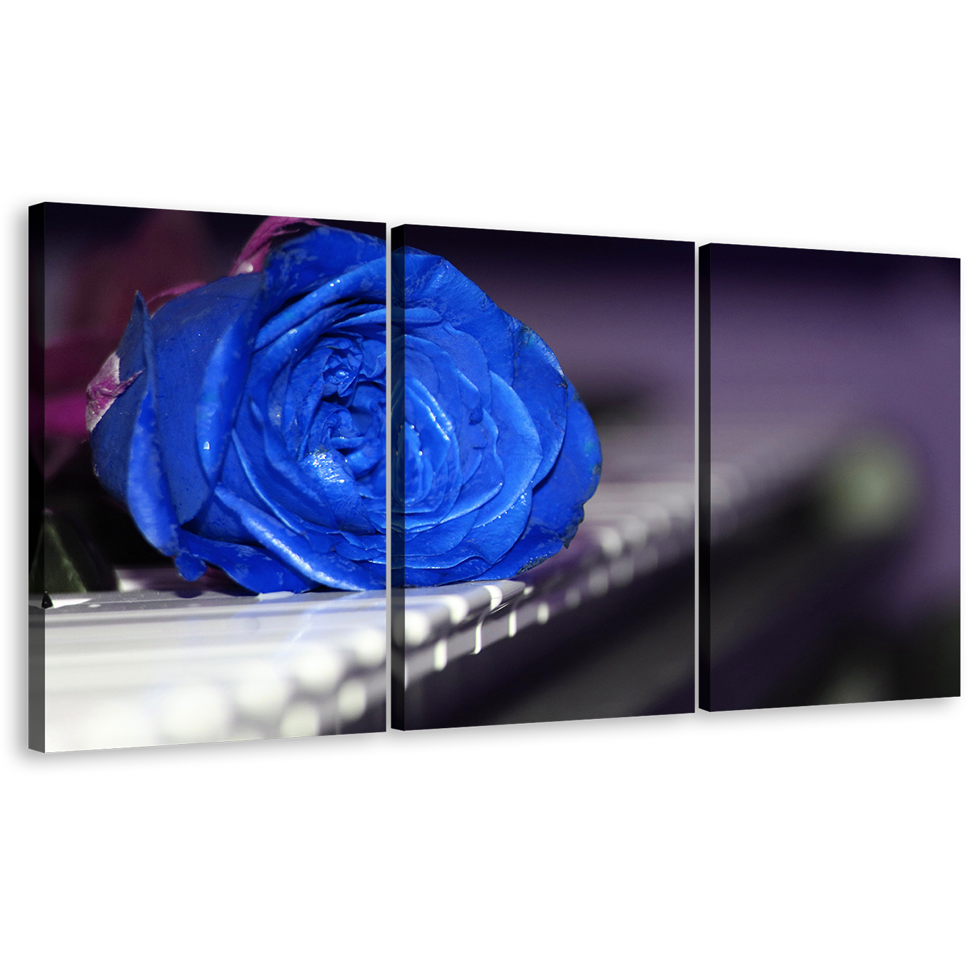 Rose Piano Canvas Wall Art, Rose on Keyboard 3 Piece Multi Canvas Artwork, Blue Flower Triptych Canvas Print