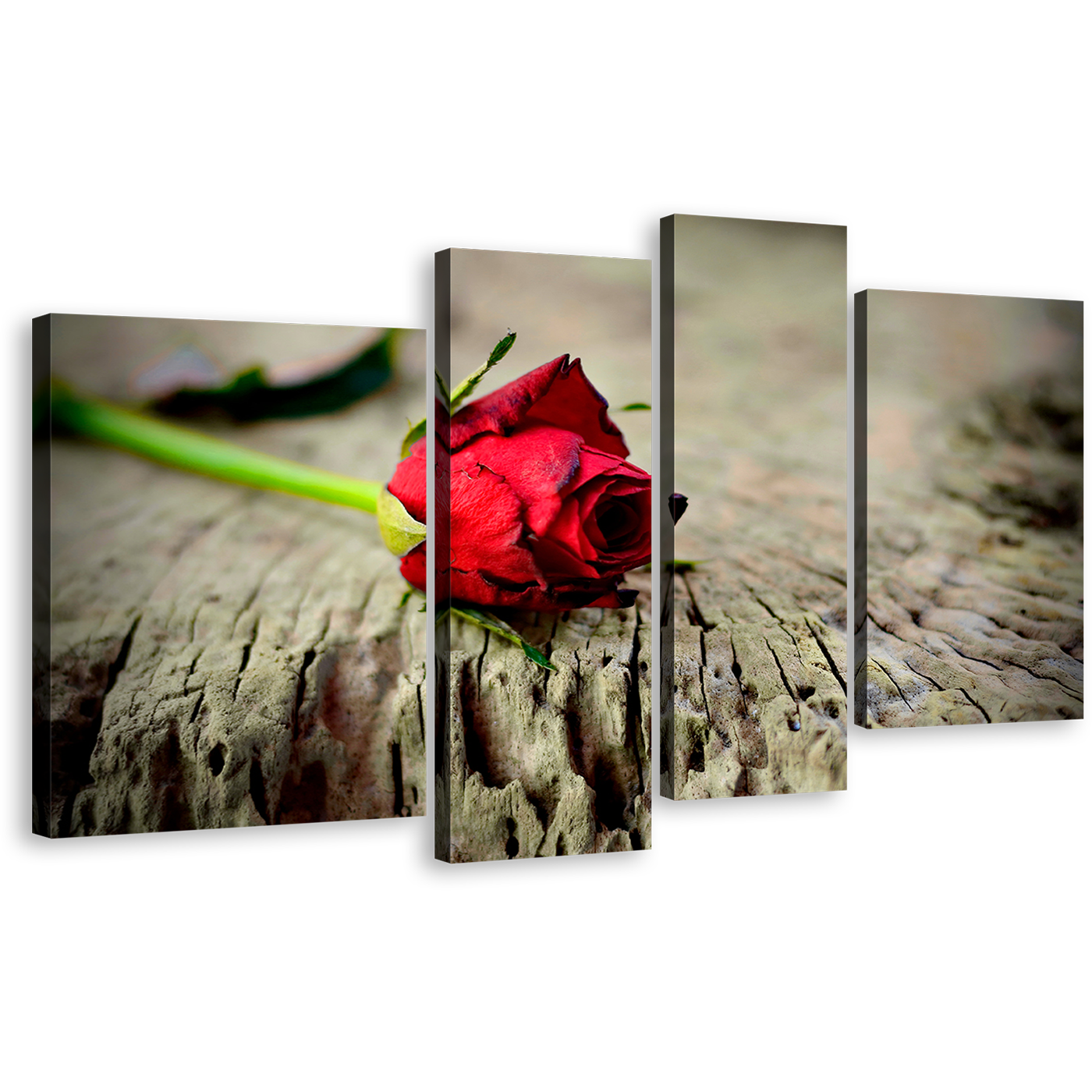 Rose Romance Canvas Wall Art, Red Rose Still Life 4 Piece Canvas Print, Rose on Brown Wood Multi Canvas Artwork