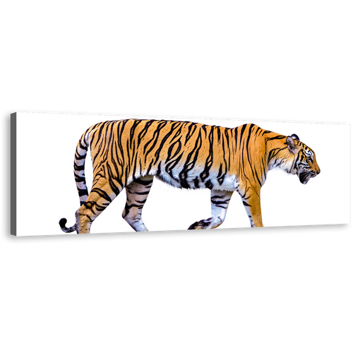 Royal Tiger Canvas Print, Beautiful Tiger Isolate 1 Piece Canvas Wall Art, Yellow White Tiger Close Up Canvas Artwork