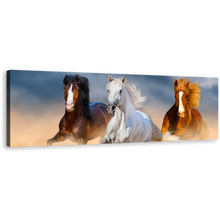 Load image into Gallery viewer, Running Horses Canvas Wall Art, Herd of Black Brown Horses Panoramic Canvas, Group of Horses in Desert Wide Canvas Print
