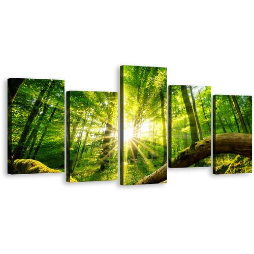 Scenery Forest Canvas Wall Art, Yellow Sun Rays Casting Forest Multiple Canvas, Green Trees Tranquil Scenery 5 Piece Canvas Print