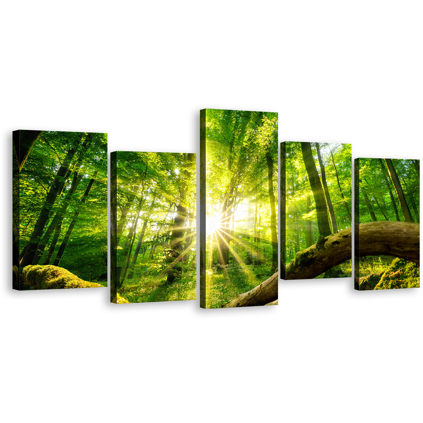 Scenery Forest Canvas Wall Art, Yellow Sun Rays Casting Forest Multiple Canvas, Green Trees Tranquil Scenery 5 Piece Canvas Print