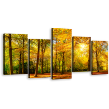 Load image into Gallery viewer, Scenic Forest Wall Art, Yellow Trees Basking in the Radiant Glow of the Sun Canvas Set, Green Trees Autumn Forest 5 Piece Canvas Print
