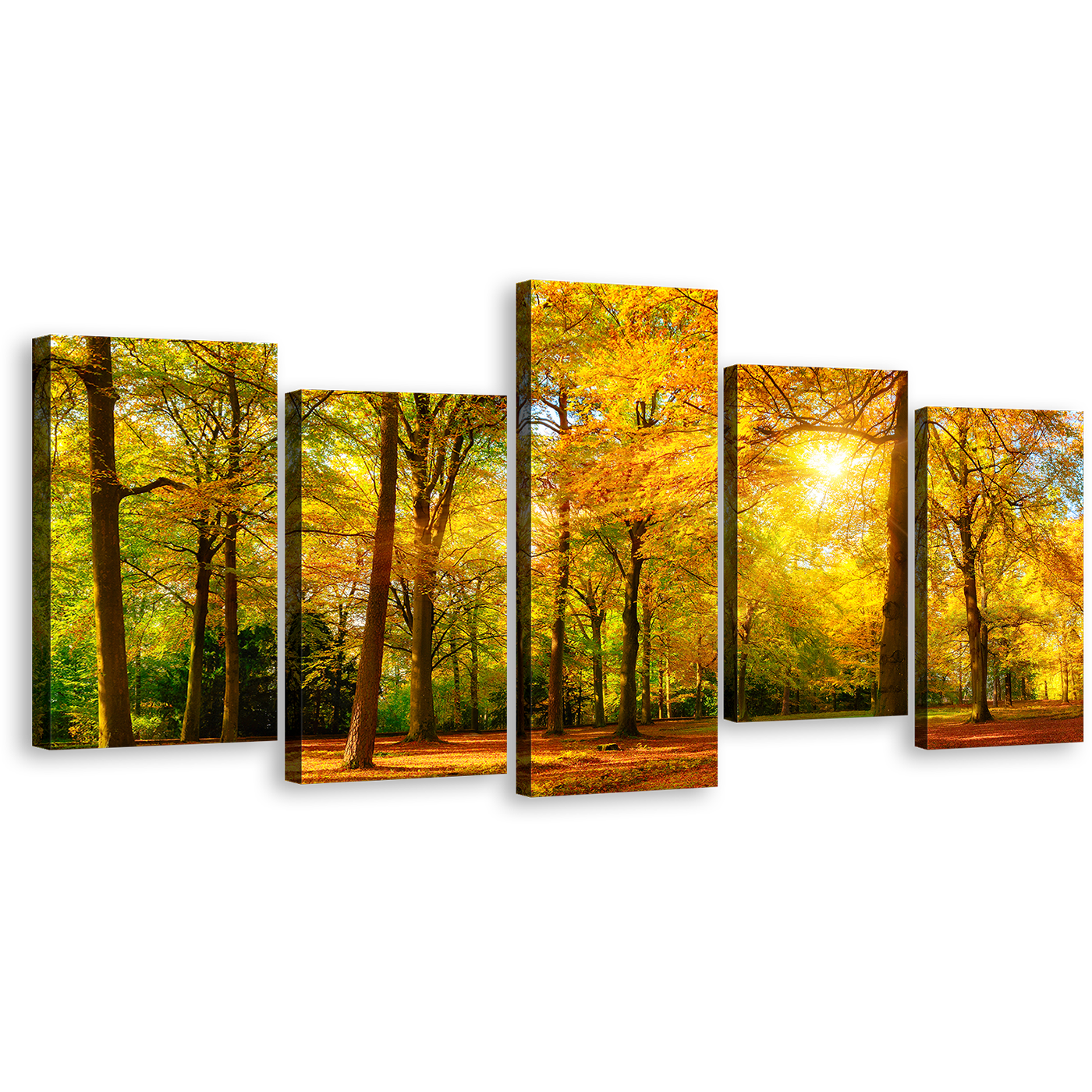 Scenic Forest Wall Art, Yellow Trees Basking in the Radiant Glow of the Sun Canvas Set, Green Trees Autumn Forest 5 Piece Canvas Print